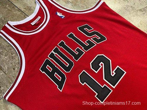 Men's Michael Jordan Red Retro Classic Team Jersey