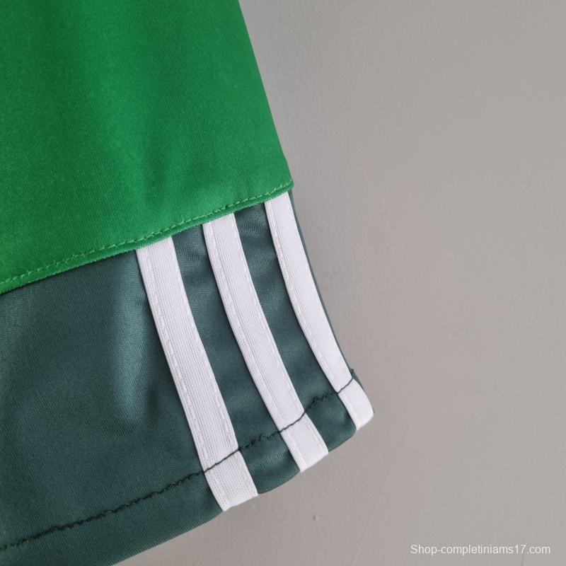 Retro 10/11 Palmeiras Home Soccer Jersey