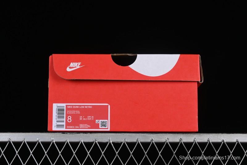 Nike Dunk Low Winter is Here Minimalist White Blue SB Lace-Up Low-Top Casual Skate Shoes - DV0831-104