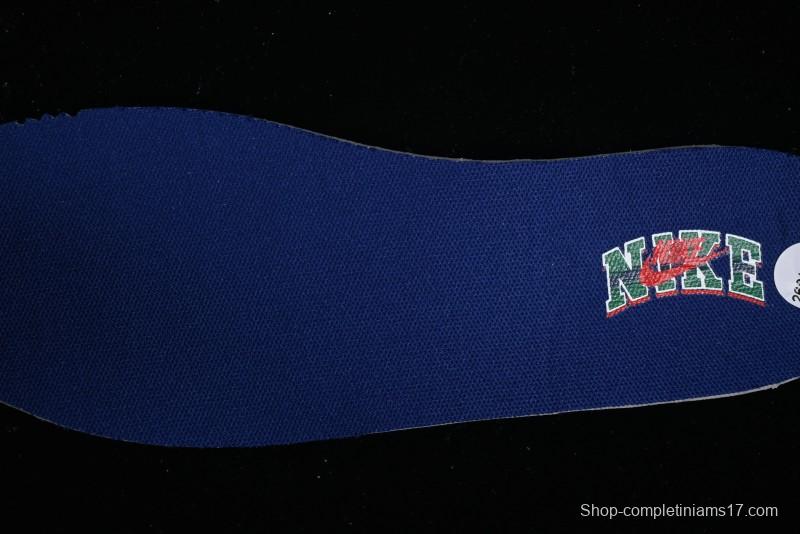 Nike SB Dunk Low SB Skateboarding Shoes - FQ6849-141