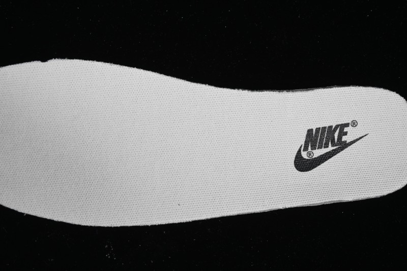 Nike SB Dunk Low Skateboarding Shoes - XH1733-006