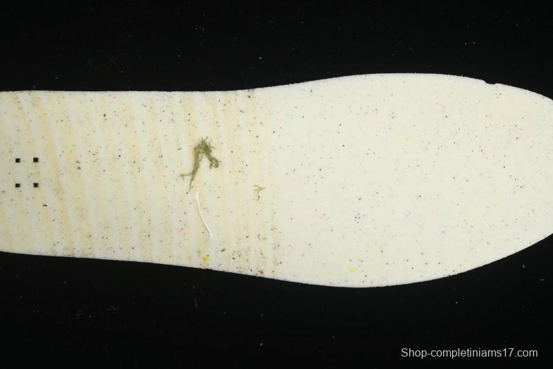 Nike SB Day One Low Top Casual Skate Shoes with Air Zoom Cushion - FN4210-001