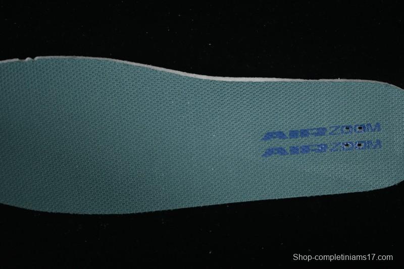 Nike SB Day One Low Top Casual Skate Shoes with Air Zoom Cushion - HM3720-141