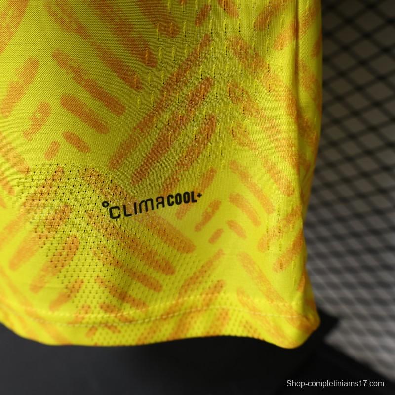 Player Version 26/27 South Africa Yellow & Green  Home Jersey (Adidas)